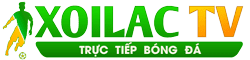 Cá Cược đá Banh - game chơi cùng bạn bè